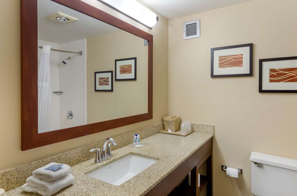 Comfort Inn Blacksburg University Area - photo 9