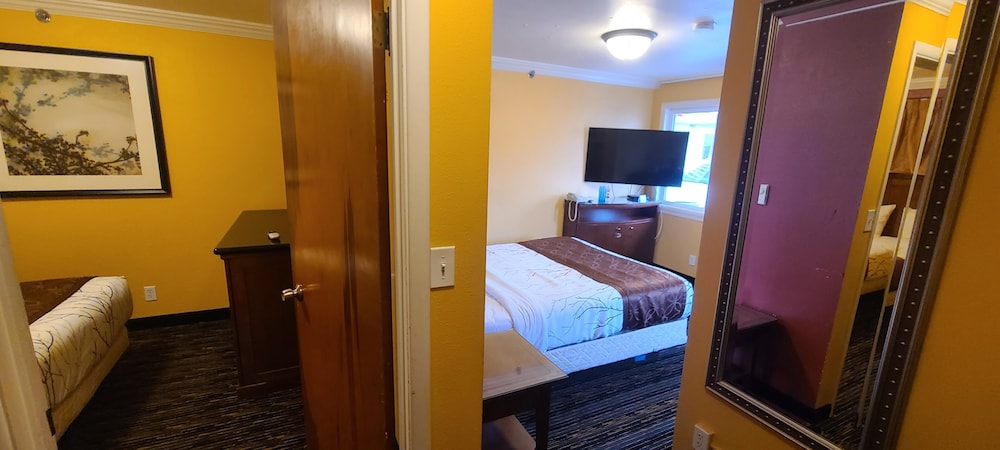 The Royal Victorian Motel - photo 12