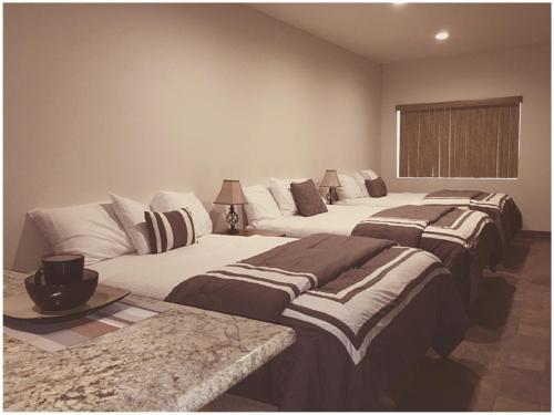 Harbour Inn - photo 24