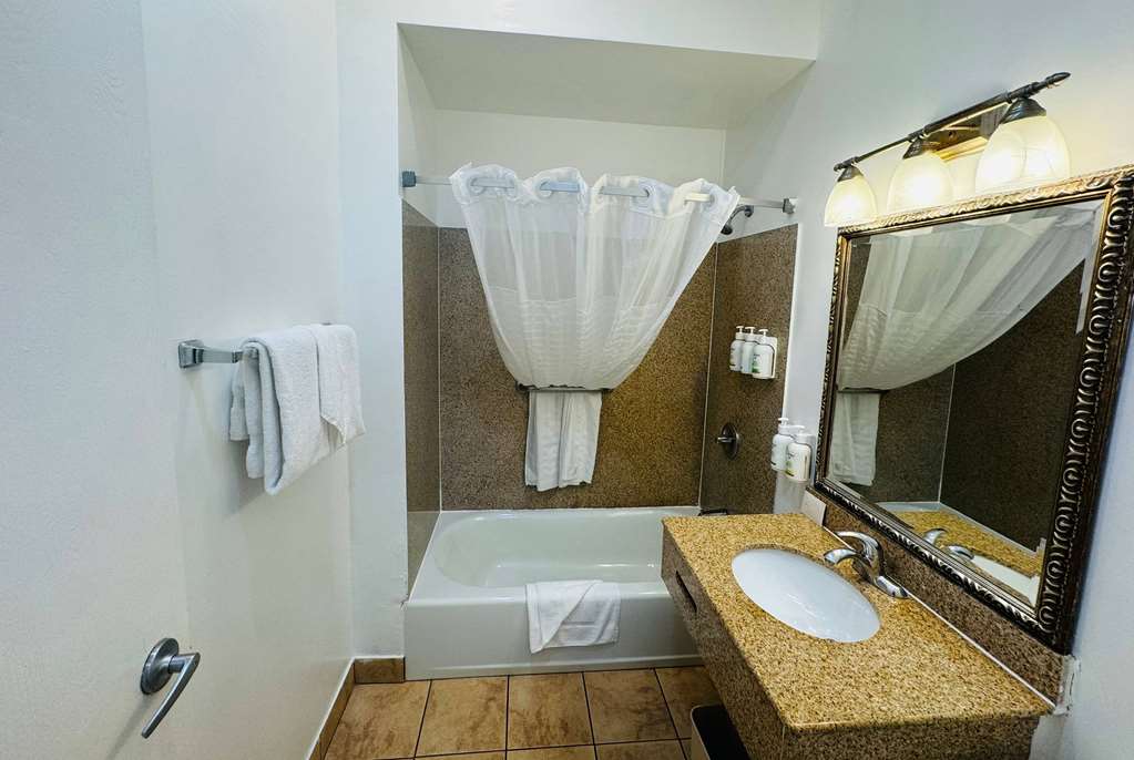 Ramada by Wyndham San Diego Airport - photo 65