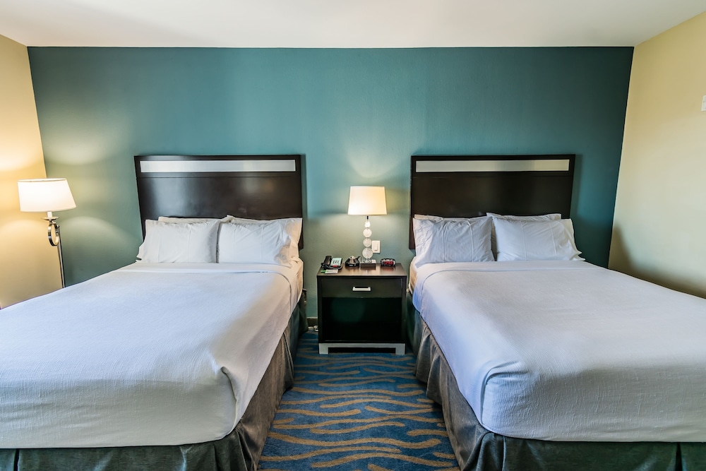 Holiday Inn Houston Webster by IHG - photo 15