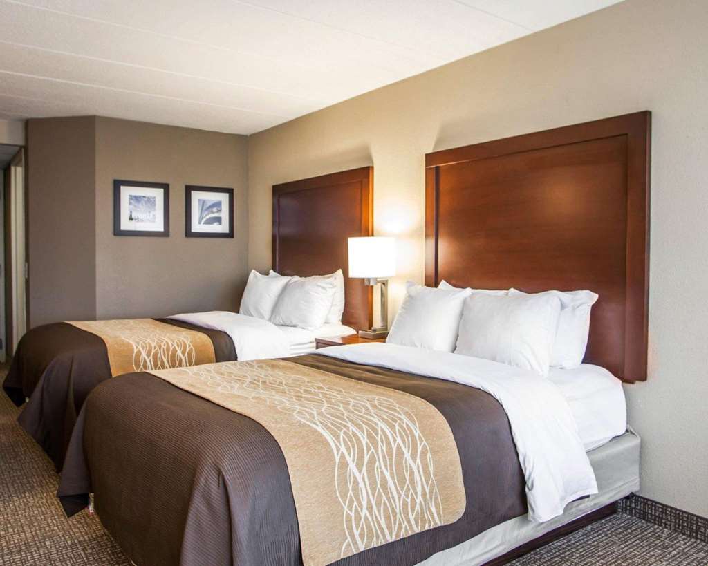 Quality Inn & Suites Orland Park Chicago - featured photo
