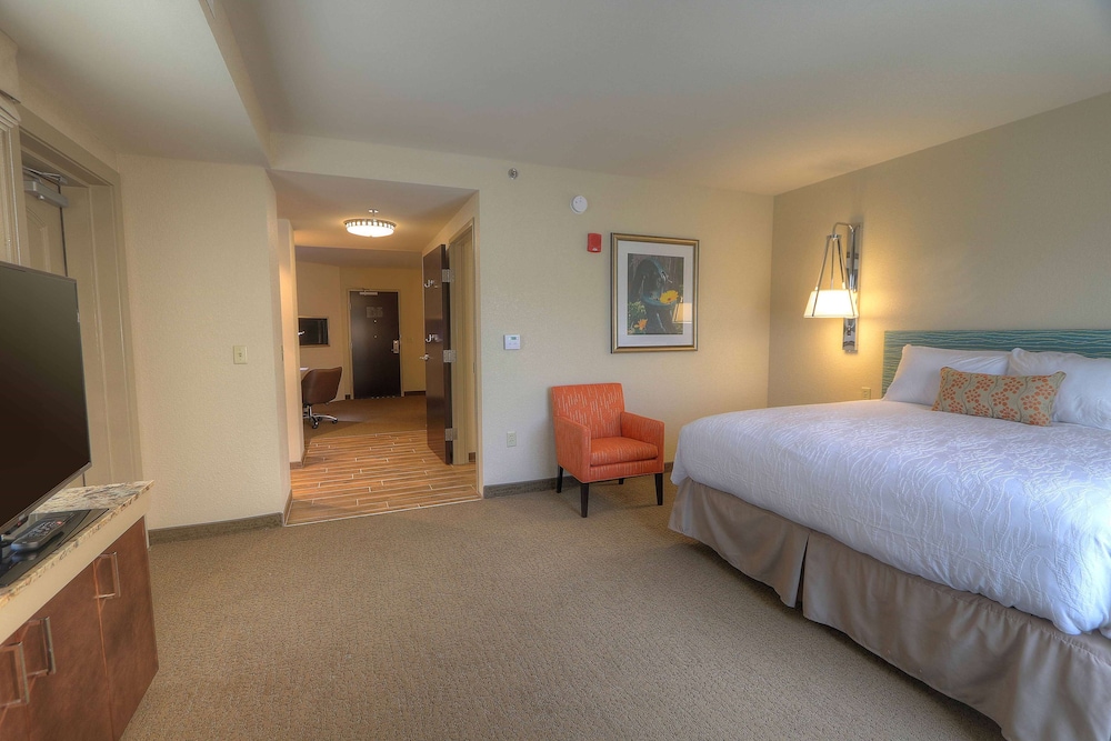 Hilton Garden Inn Pigeon Forge - photo 23