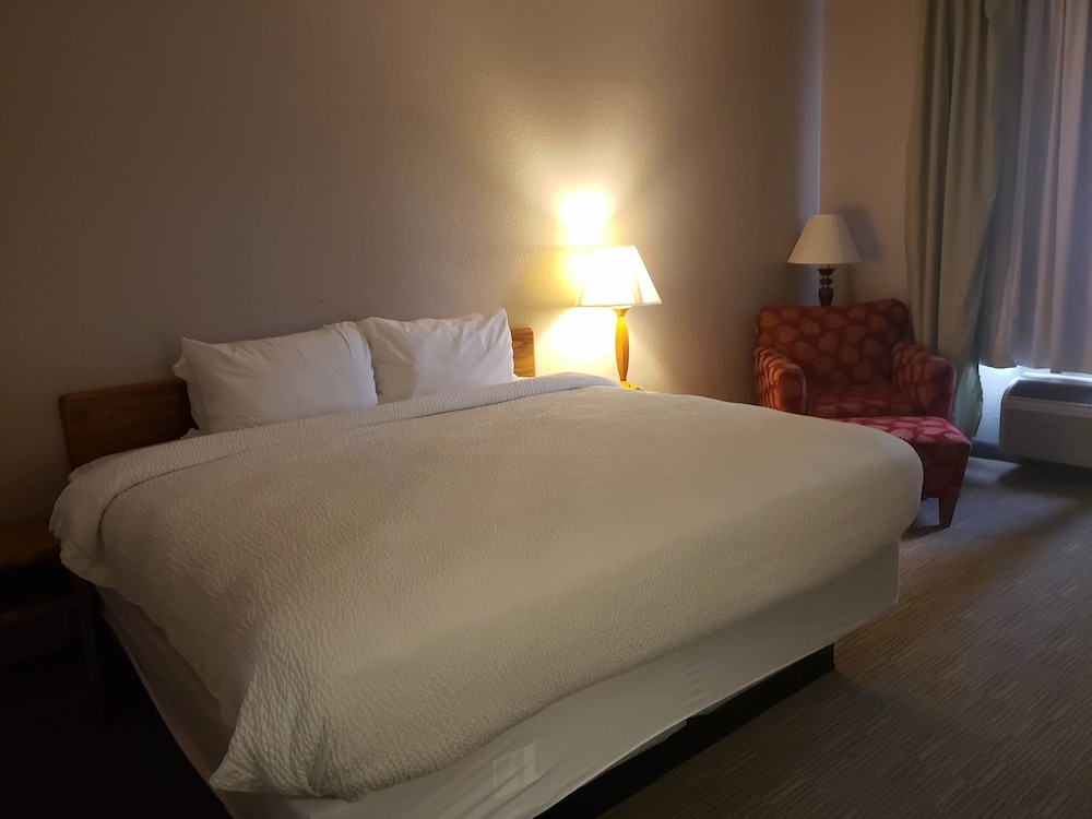 Country Inn & Suites by Radisson Fairview Heights IL - photo 19