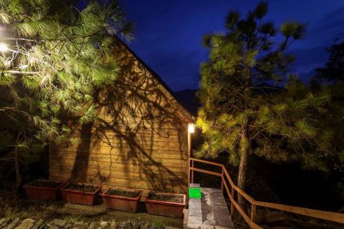 Suro Treehouse Resort — Shimla — photo 5