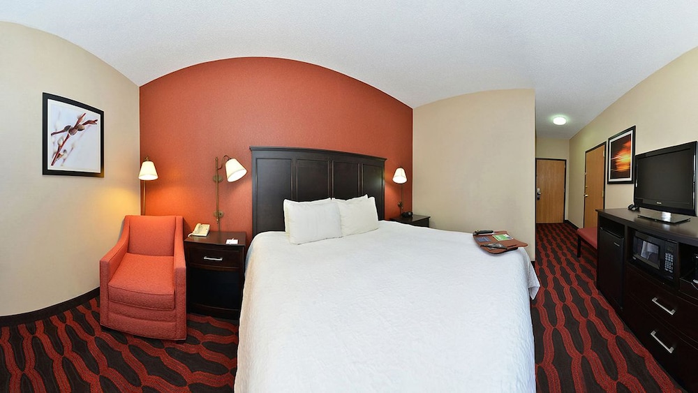 Hampton Inn Sturgis Lagrange Area - photo 14