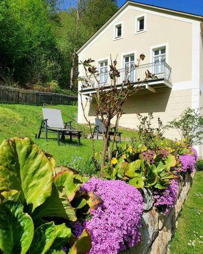 Hotel Garni Dekorahaus — Bad Schandau — photo 4