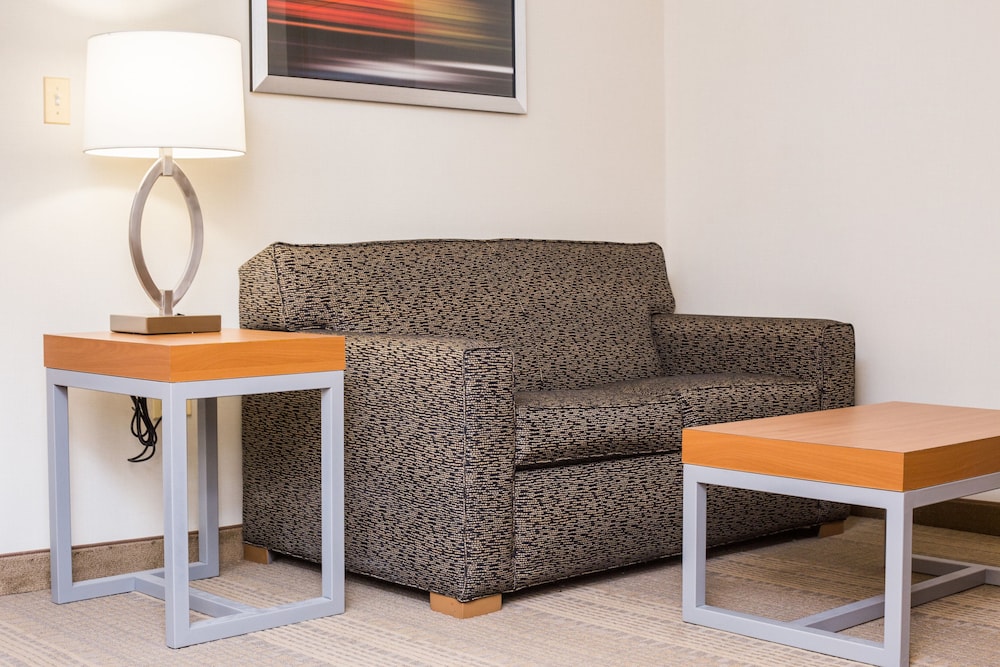 Holiday Inn & Suites Bolingbrook by IHG - photo 18