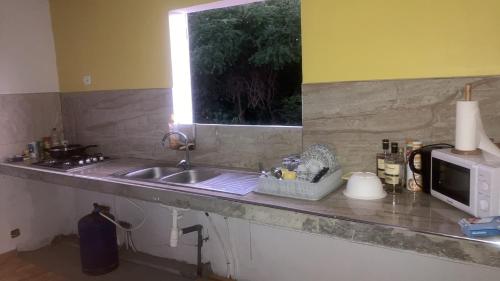 Mangrove in Port-Louis, Guadeloupe