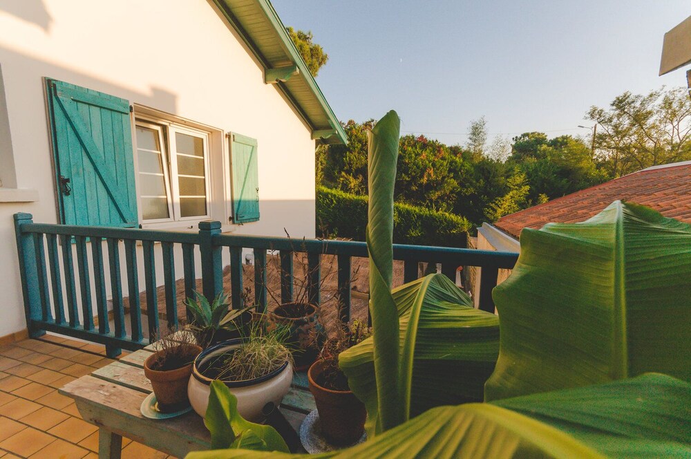 Joyu Surf Shack — Bidart
