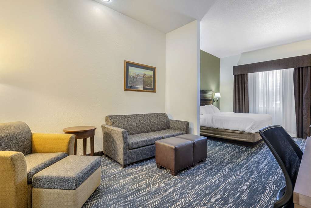 Comfort Inn & Suites Mt. Rushmore - photo 33