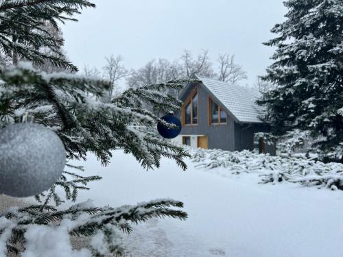 Ambient Resort Bled in Bled, Slovenia