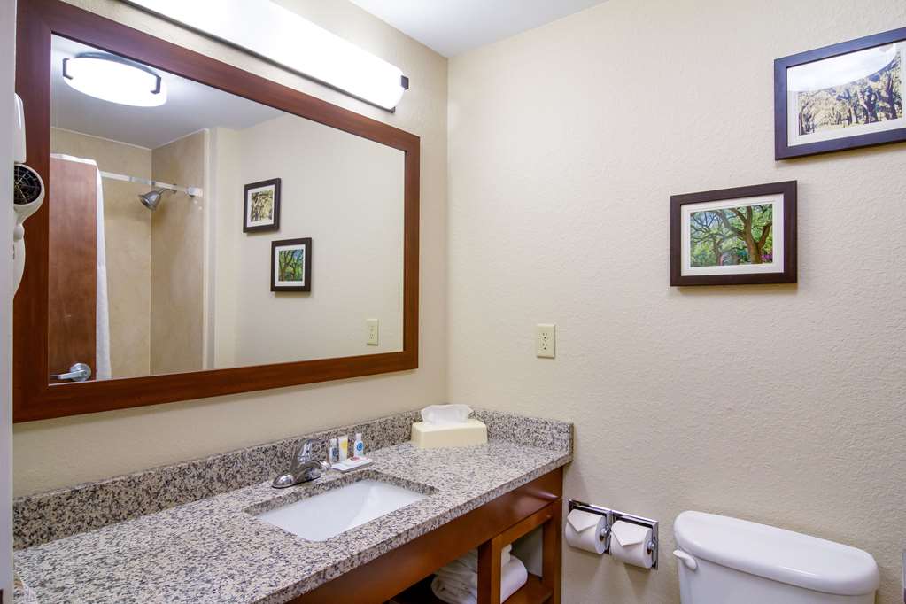 Comfort Inn Blackshear Hwy 84 - photo 21