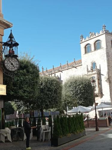 Cordon 4 1d Vut 09 402 — Burgos