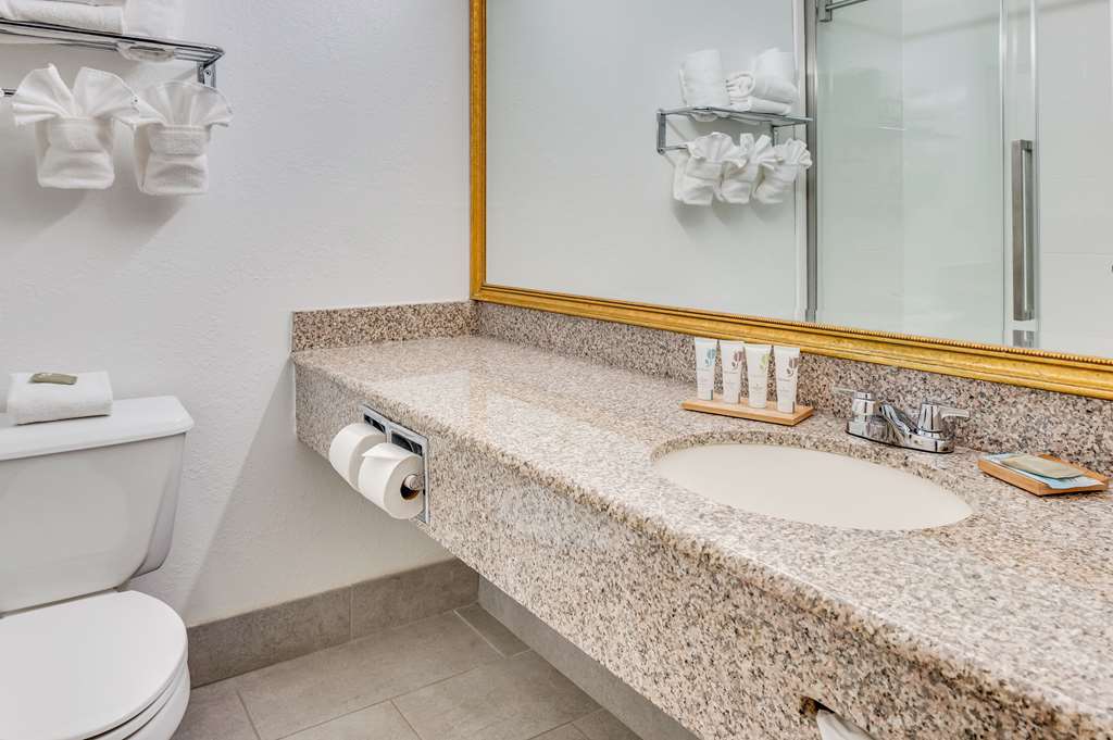 Country Inn & Suites by Radisson Grand Rapids Airport MI - photo 20