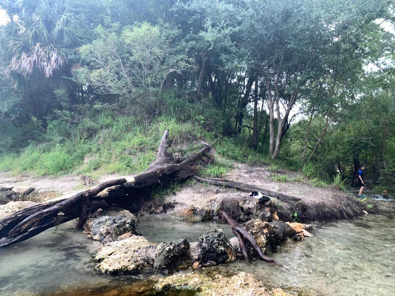 Margaritaville On The Suwannee River - photo 6