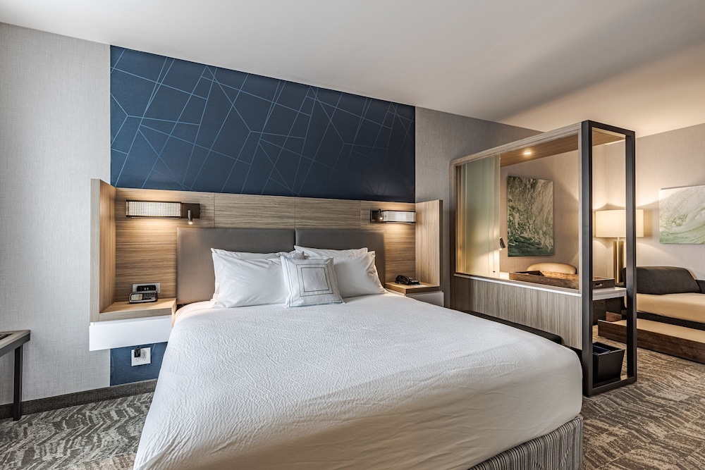 SpringHill Suites by Marriott Detroit Sterling Heights - photo 15