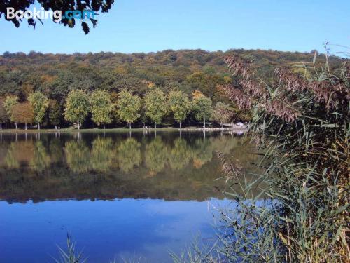 Hotel Restaurant Des Lacs — Contrexeville