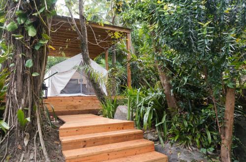 El Yunque Glamping Experience in Naguabo, Puerto Rico