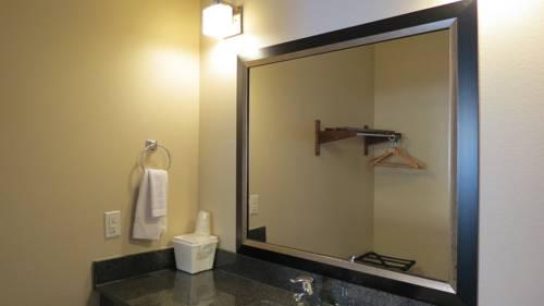 Grand Inn and Suites Houston - photo 3