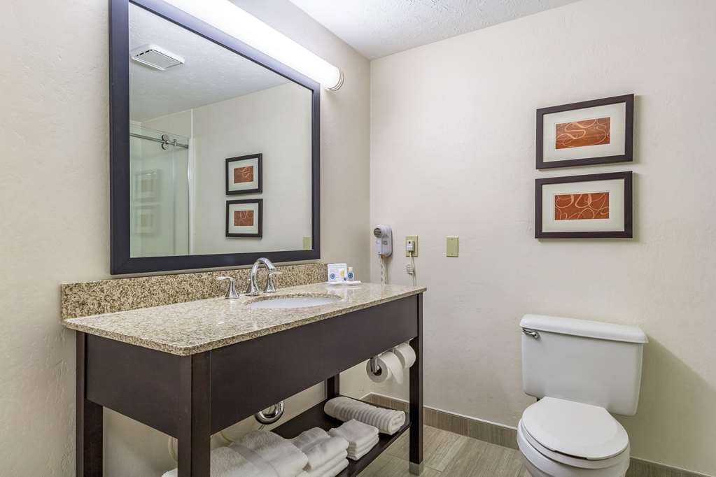 Comfort Inn Independence Cleveland - photo 14