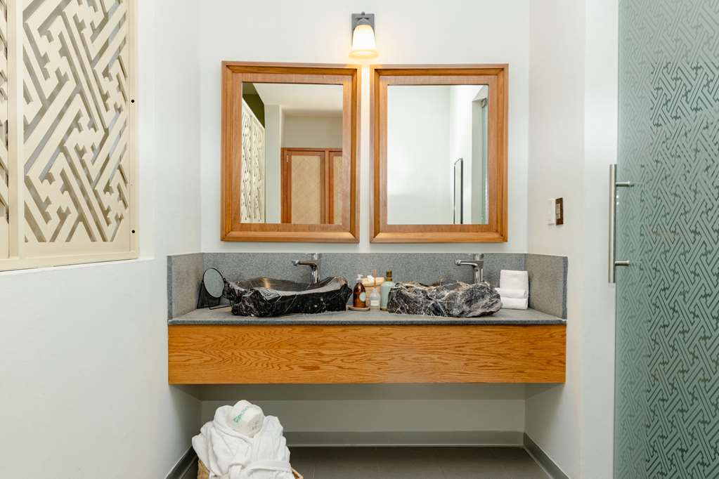 Double wash basin