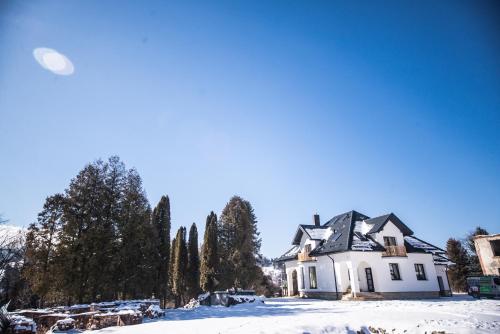 Grand Villla Skyta — Vorokhta — photo 4