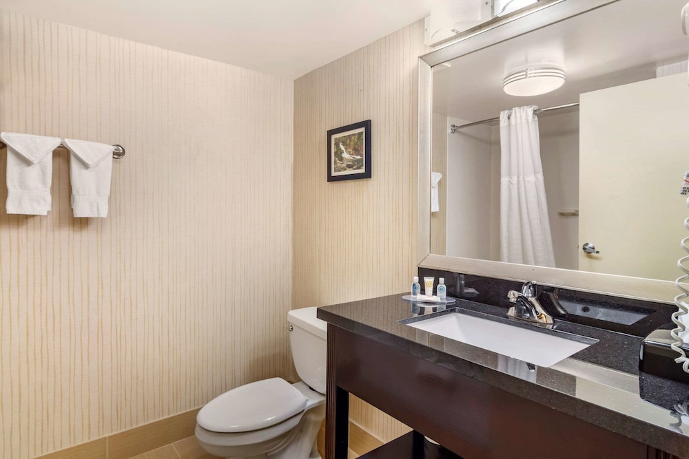 Comfort Inn Douglasville Atlanta West - photo 10