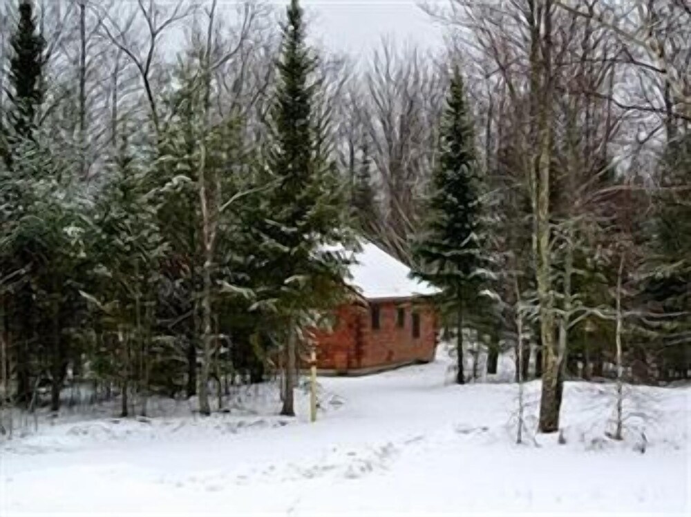 Muddy Moose - photo 17