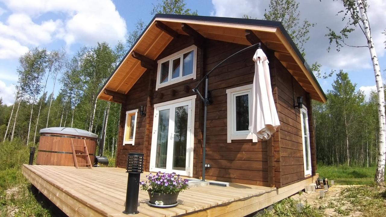 Metsavahi puhketalu in Mustvee, Estonia