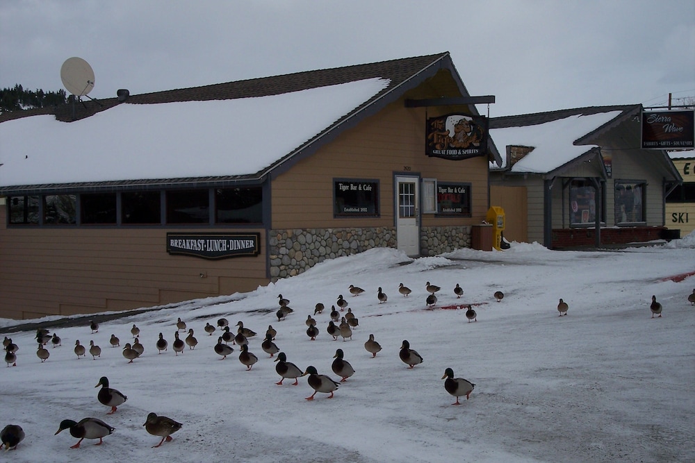 June Lake Villager - photo 132