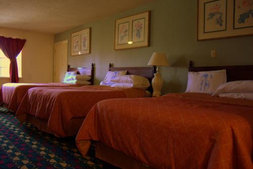 Somerville Inn & Suites - photo 13