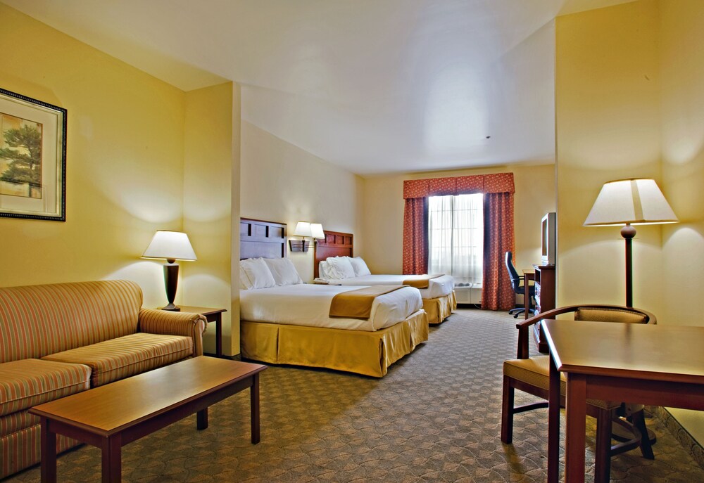 Holiday Inn Express & Suites Levelland by IHG - photo 19