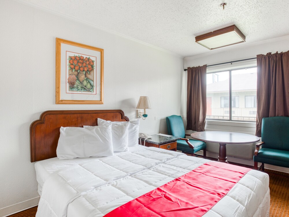 OYO Hotel San Antonio East - photo 13
