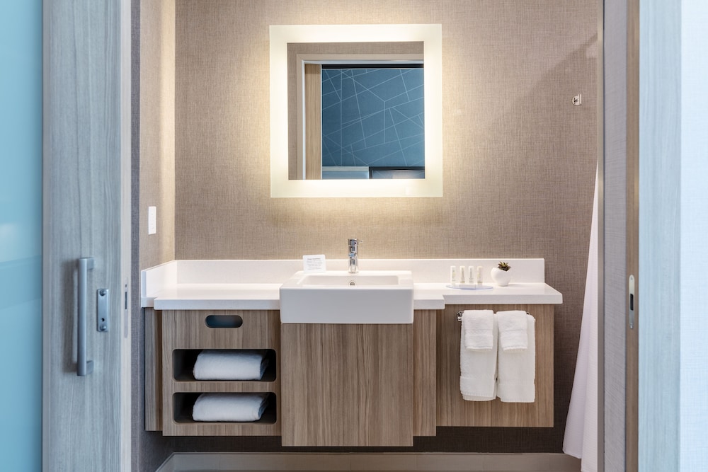 SpringHill Suites by Marriott Columbia - photo 16