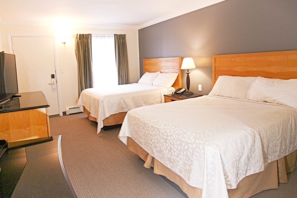 Moonlight Inn - carbon neutral hotel in Brunswick