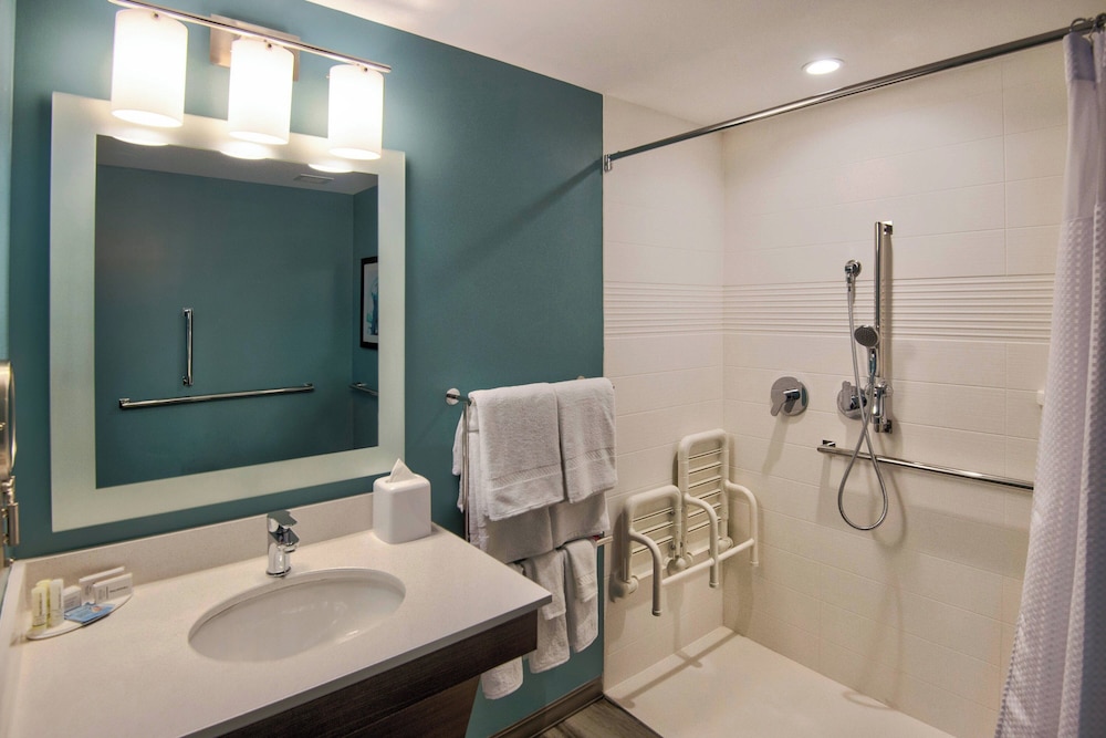TownePlace Suites by Marriott Miami Airport - photo 30