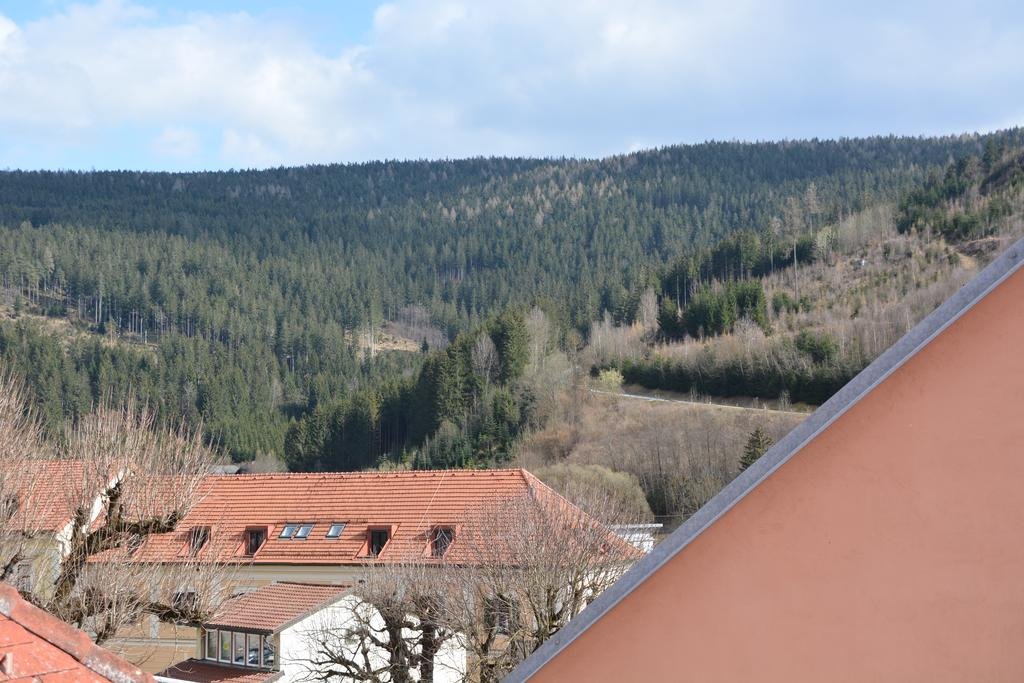 Kronenwirt — hotel in Gurk
