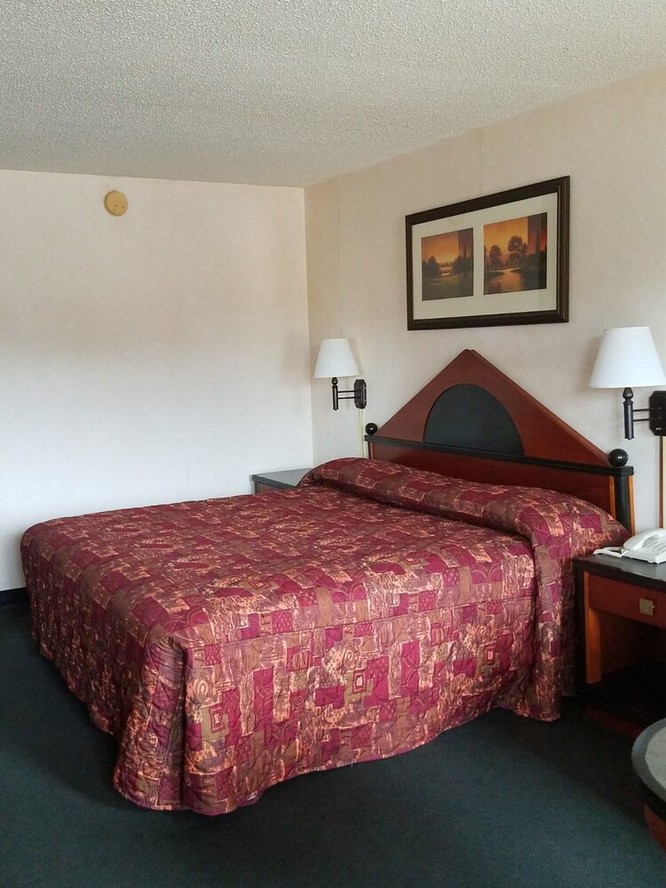 Shelaine Inn - photo 13
