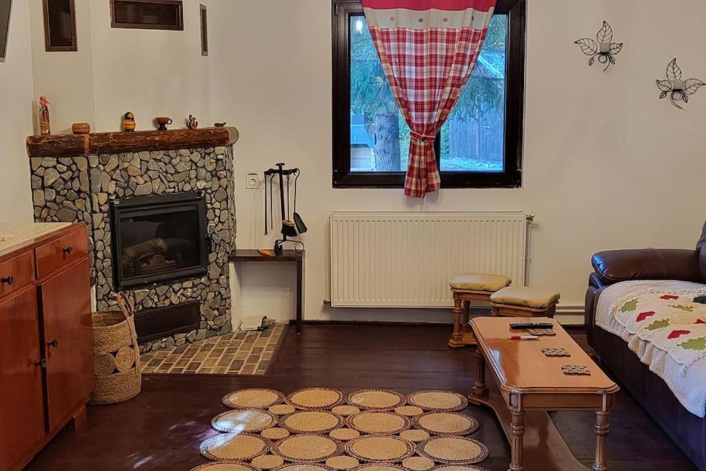 Cabana Cotu lui Iepure — hotel in Traisteni