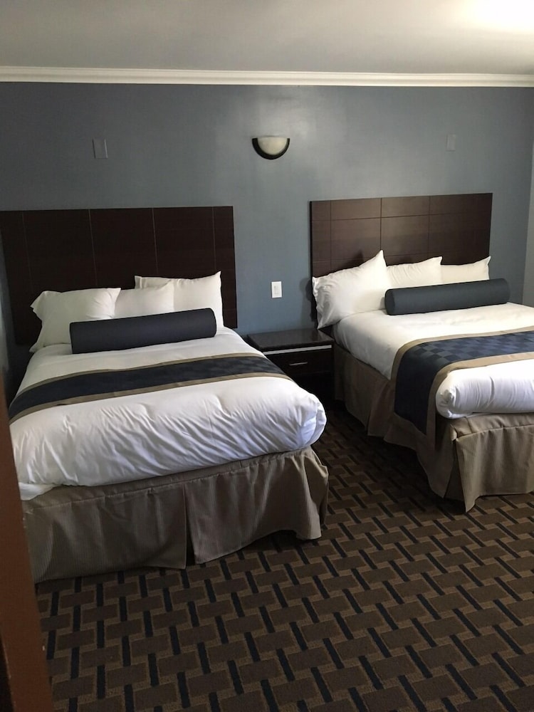 Hollywood Palms Inn and Suites - photo 15