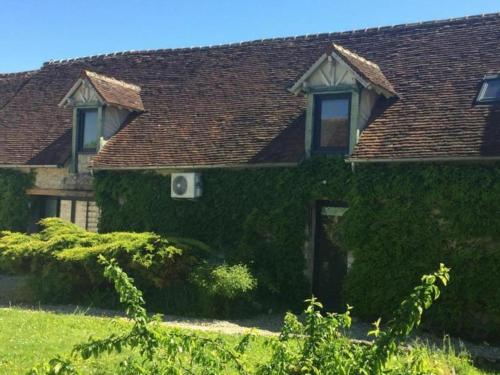 Un Figuier Dans Notre Jardin — Beaune La Rolande