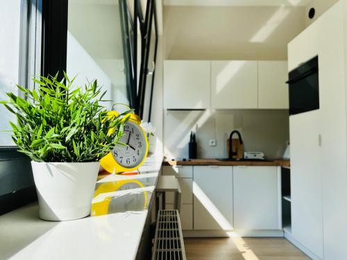CozyStudio with Sauna — 4-Star Luxury Hotel in Krakow, Poland