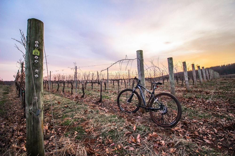 Albemarle Estate at Trump Winery - photo 47
