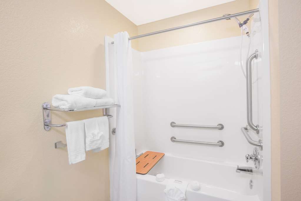 Microtel Inn & Suites by Wyndham Albertville - photo 8