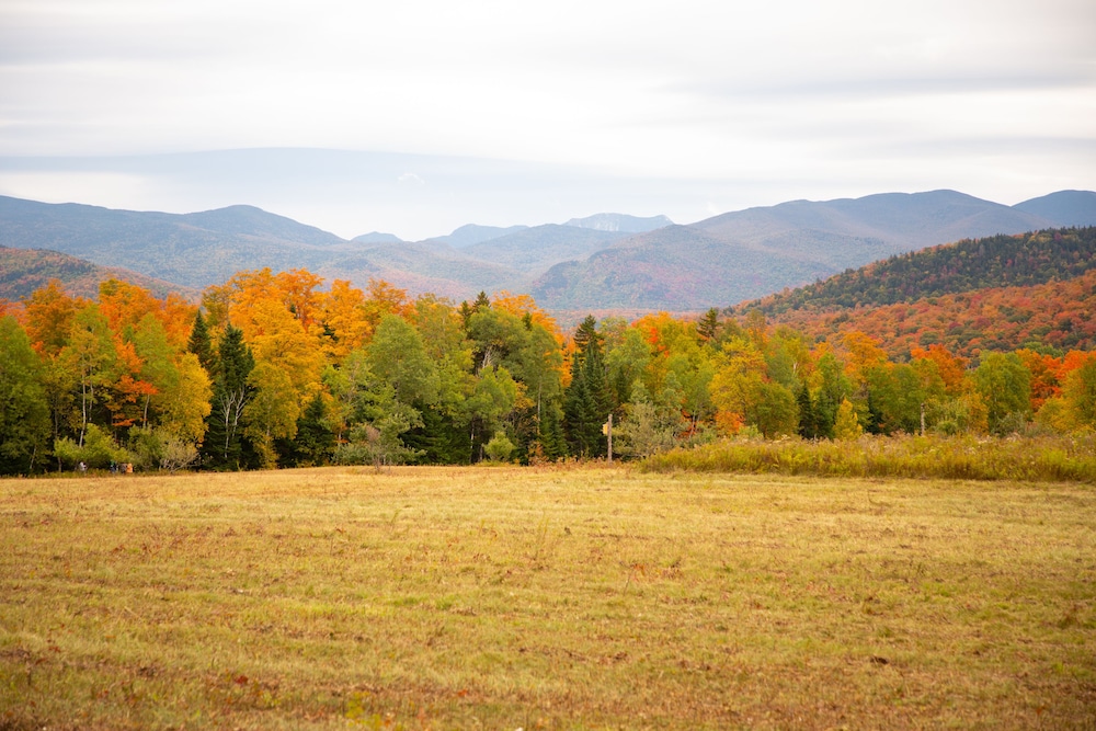 Lake Placid Inn Boutique Hotel - photo 32