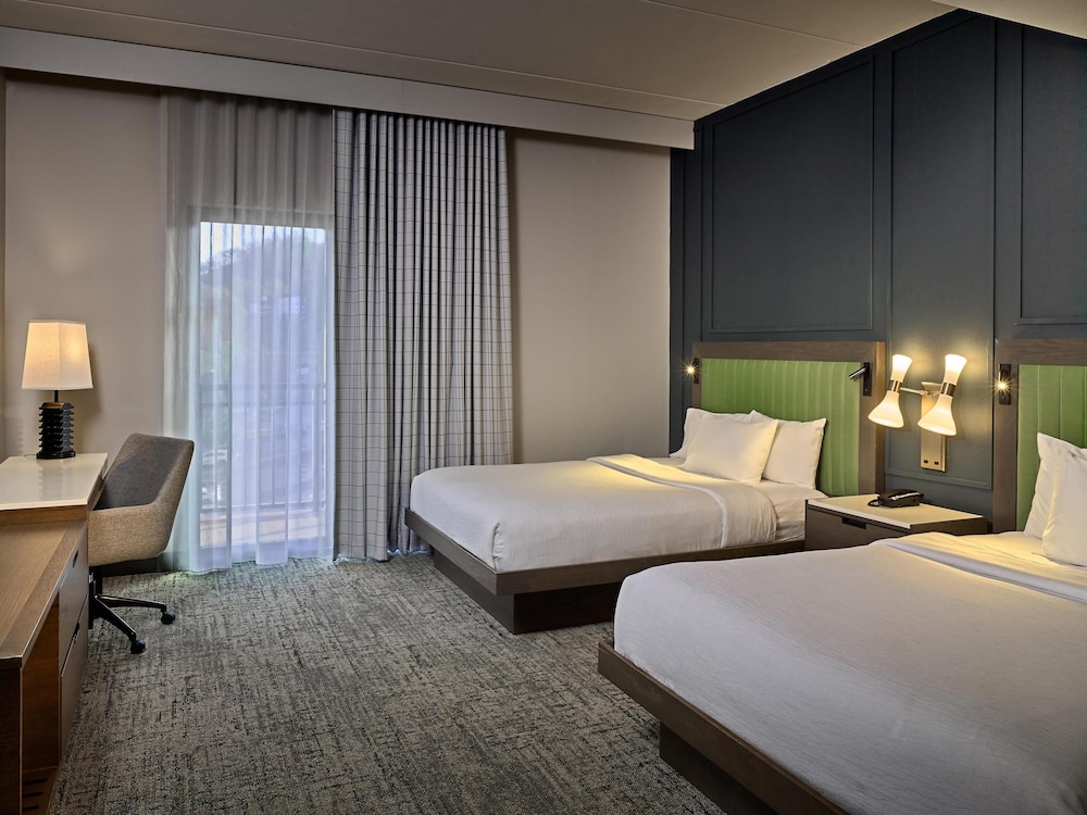 Embassy Suites by Hilton Gatlinburg Resort - photo 17
