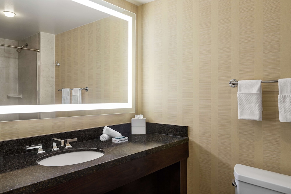 Hilton Tampa Downtown - photo 55