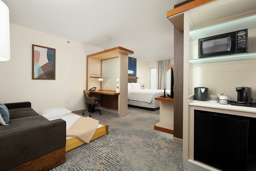 SpringHill Suites by Marriott McAllen Convention Center - photo 21