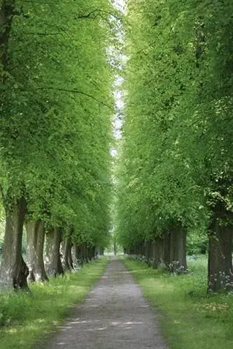 Hotel Gasthof am See